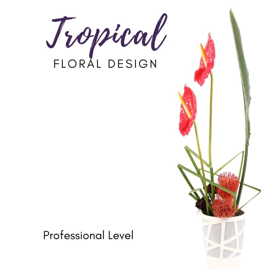 Tropical-professional-design-