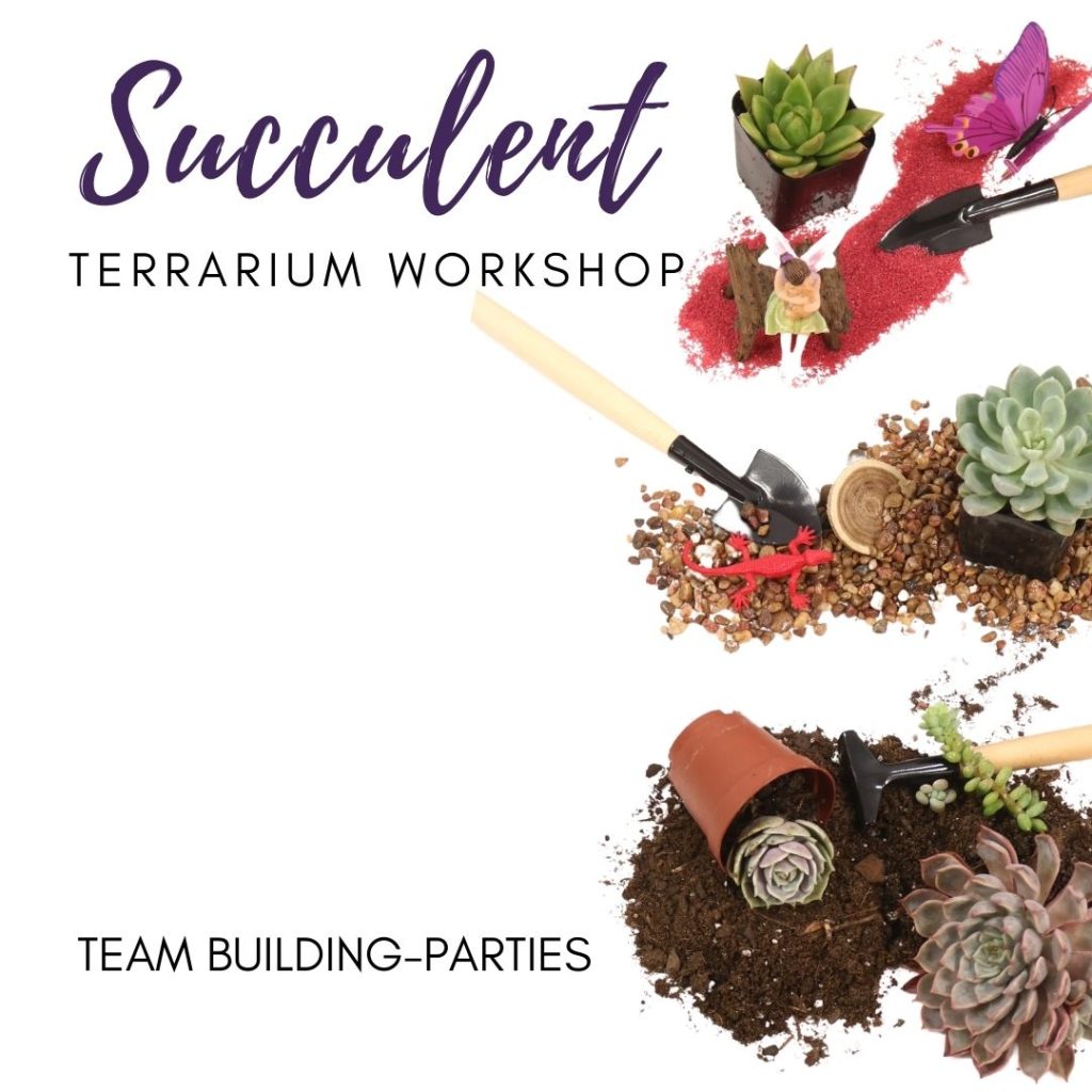 succulent-workshop