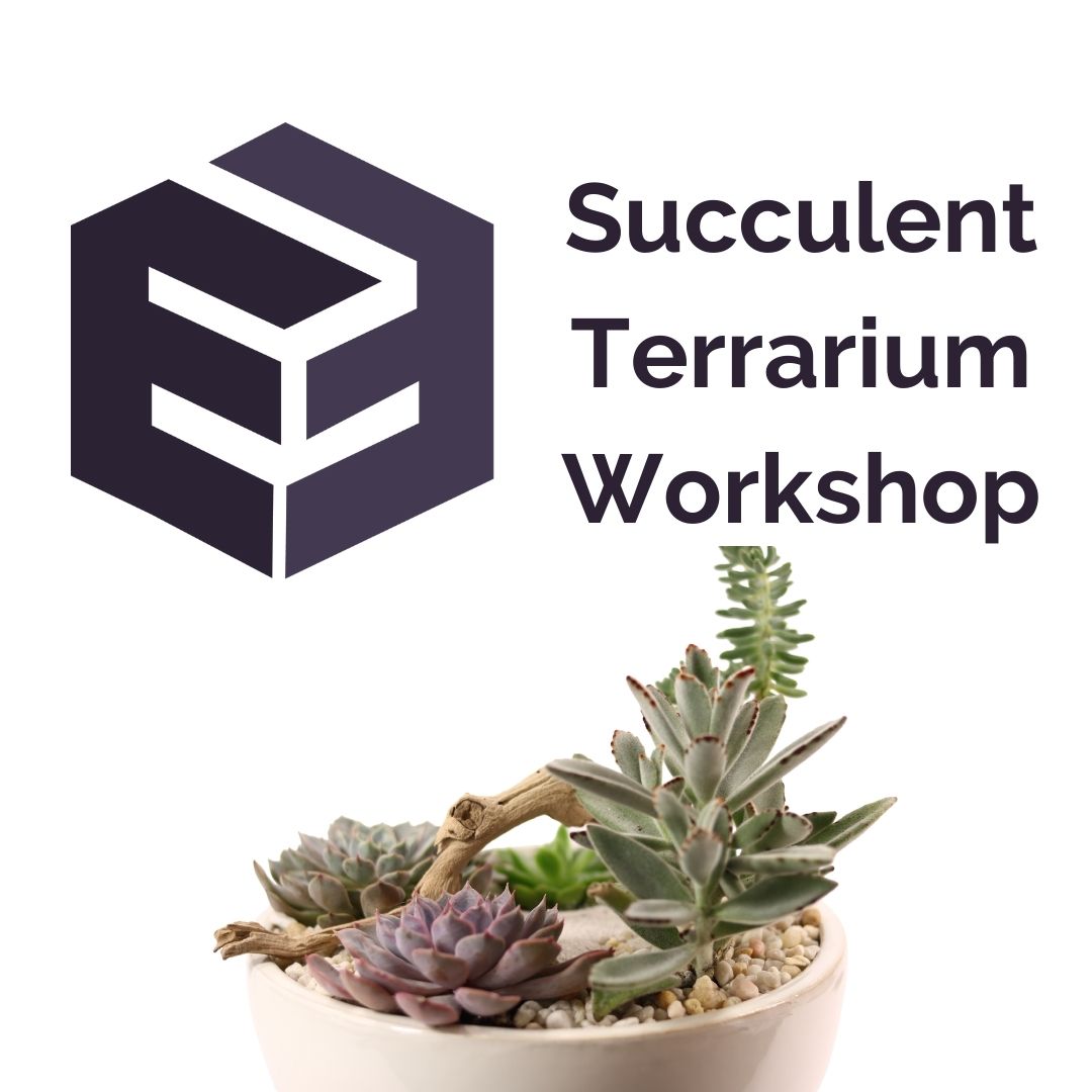 Succulent and Terrarium Workshop - Flora Elements