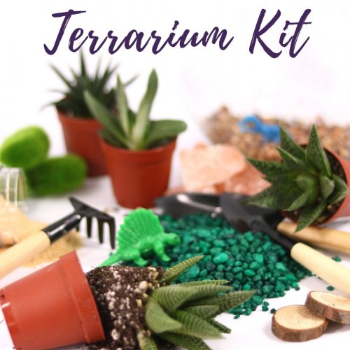 Terrarium Kit (2)
