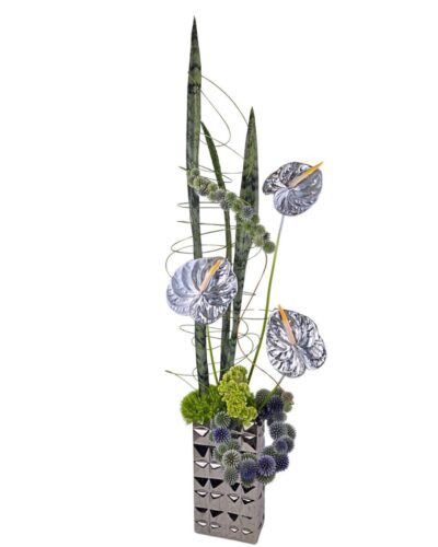 Sansevaria and echinops (1)