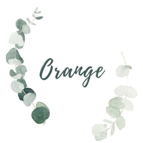  Wedding Orange